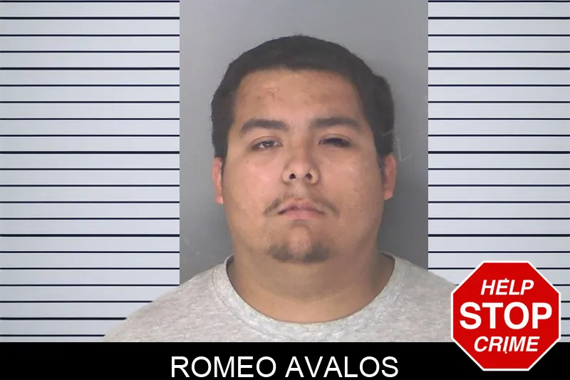 Romeo Avalos Mugshots
