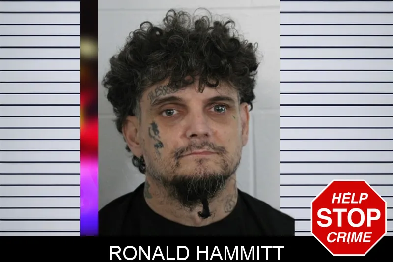 Ronald Hammitt Mugshots