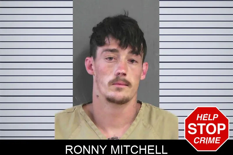 Ronny Mitchell Mugshots
