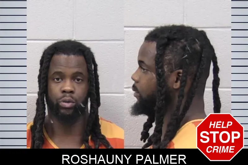 Roshauny Palmer mugshot – Paulding County , Georgia Roshauny Palmer mugshot