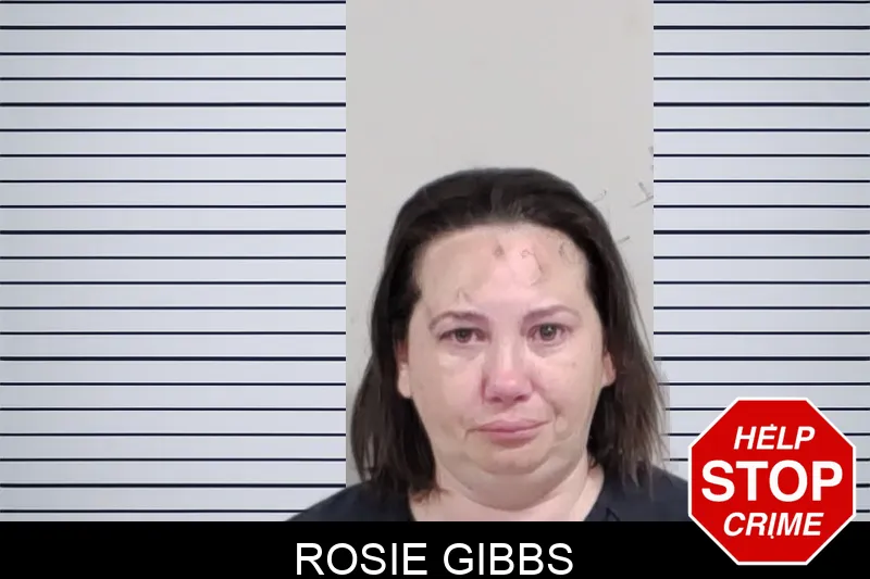 Rosie Gibbs Mugshots