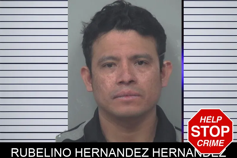 Rubelino Hernandez Hernandez Mugshots
