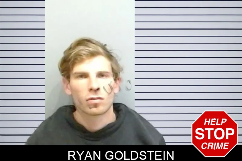Ryan Goldstein mugshot – Fulton County , Georgia Ryan Goldstein mugshot