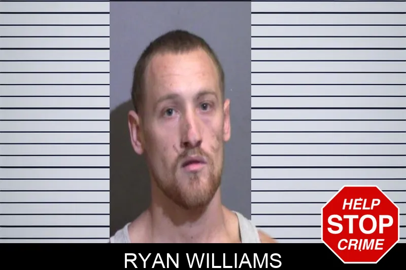 Ryan Williams Mugshots