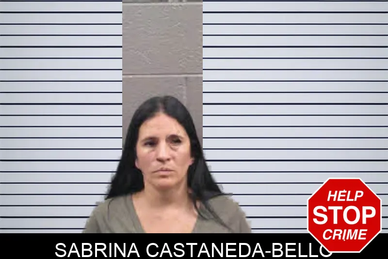 Sabrina Castaneda-Bello Mugshots