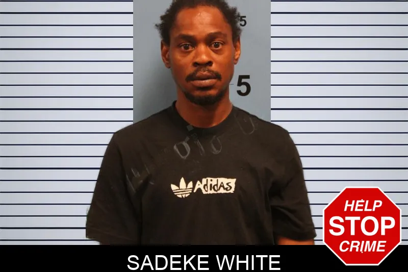 Sadeke White Mugshots