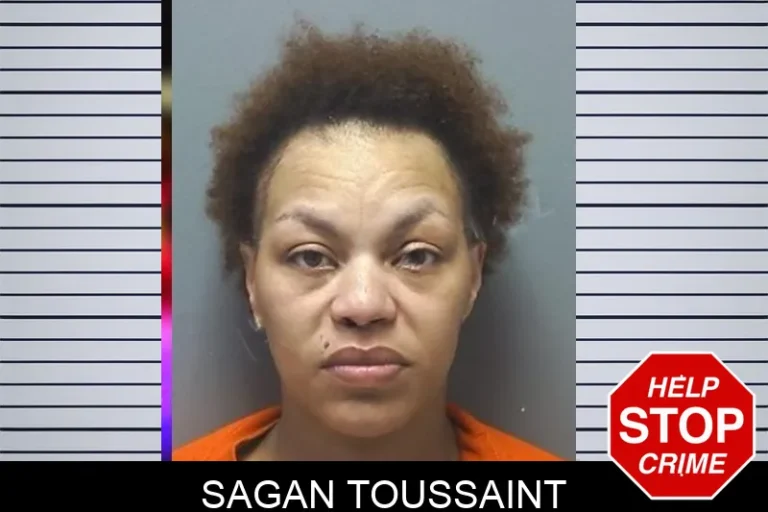 Sagan Toussaint mugshot – Cherokee County , Georgia Sagan Toussaint