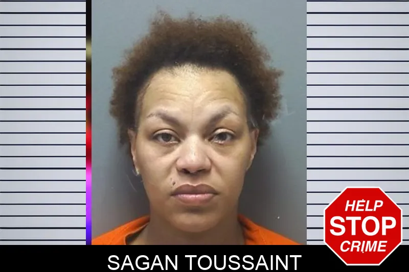 Sagan Toussaint mugshot – Cherokee County , Georgia Sagan Toussaint mugshot