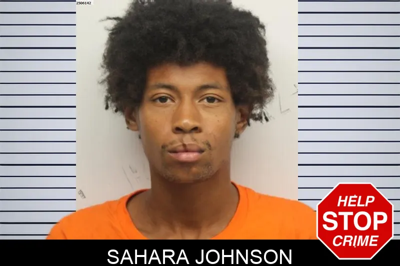 Sahara Johnson mugshot