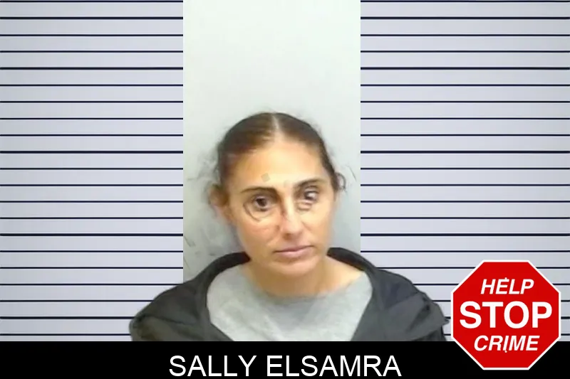 Sally Elsamra Mugshots
