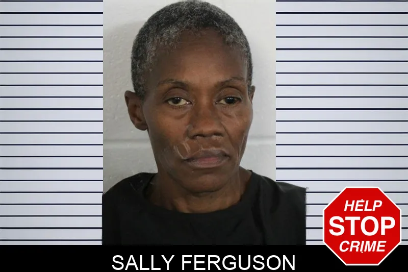 Sally Ferguson Mugshots