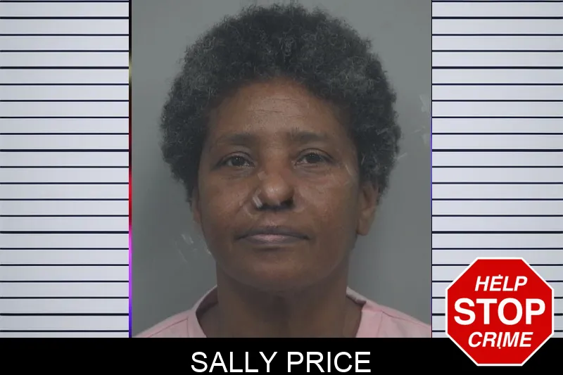 Sally Price mugshot