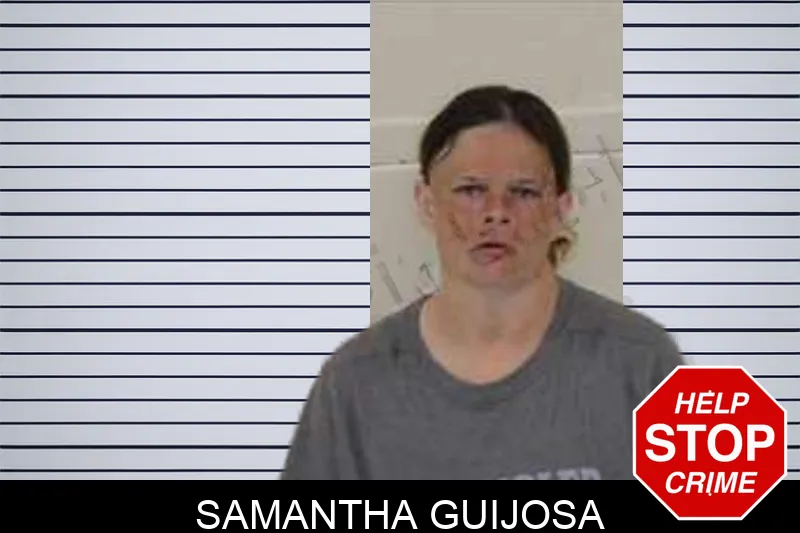 Samantha Guijosa Mugshots