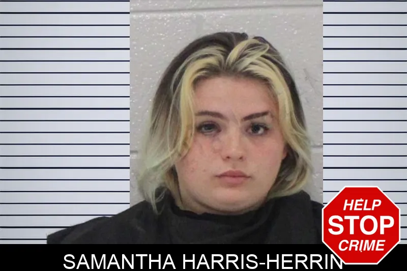 Samantha Harris-Herrin Mugshots