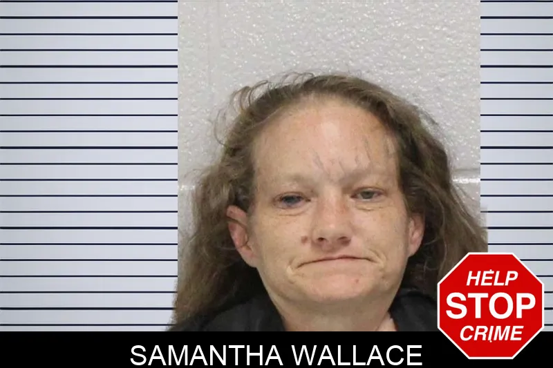 Samantha Wallace Mugshots