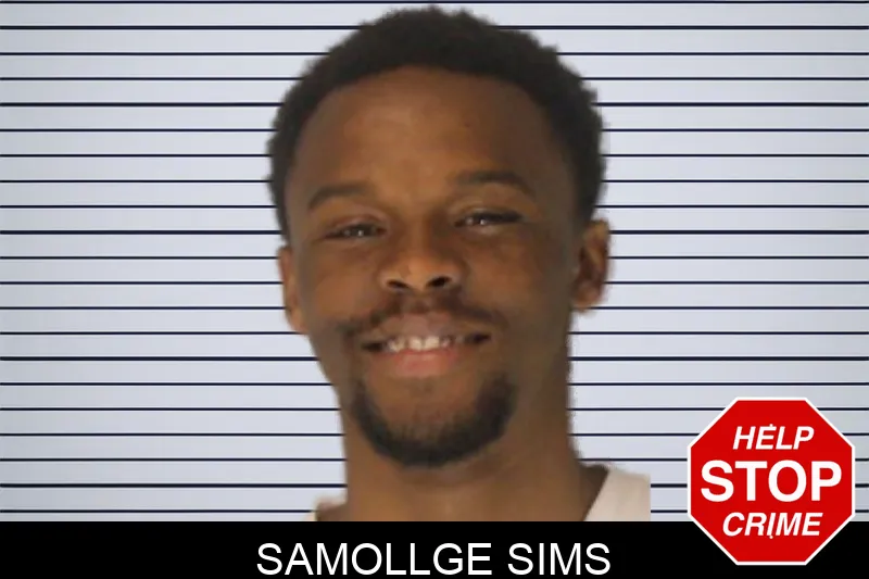 Samollge Sims Mugshots