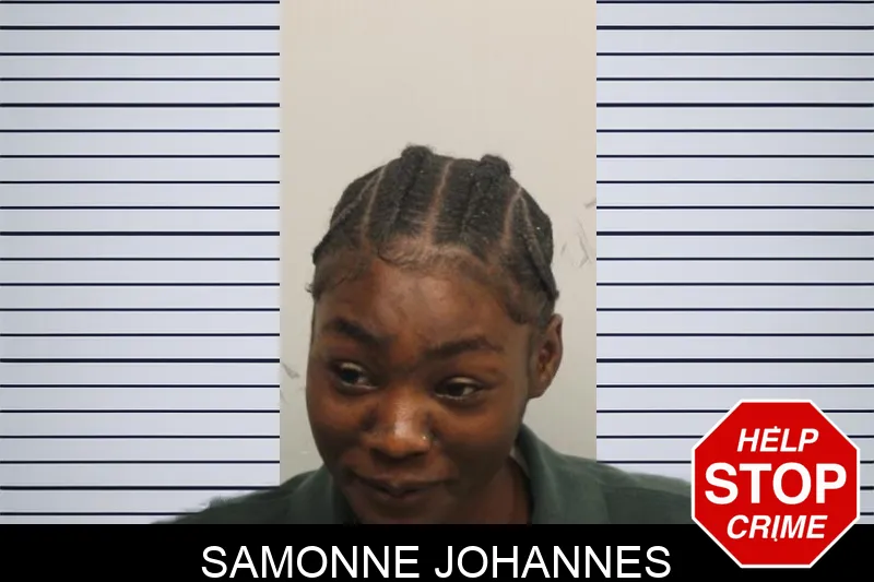 Samonne Johannes mugshot – Chatham County , Georgia Samonne Johannes mugshot