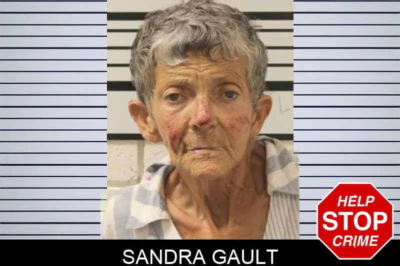 Sandra Gault Mugshots