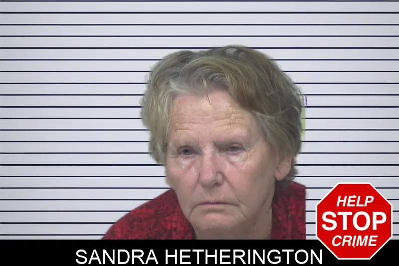 Sandra Hetherington mugshot – Gwinnett County , Georgia Sandra Hetherington mugshot