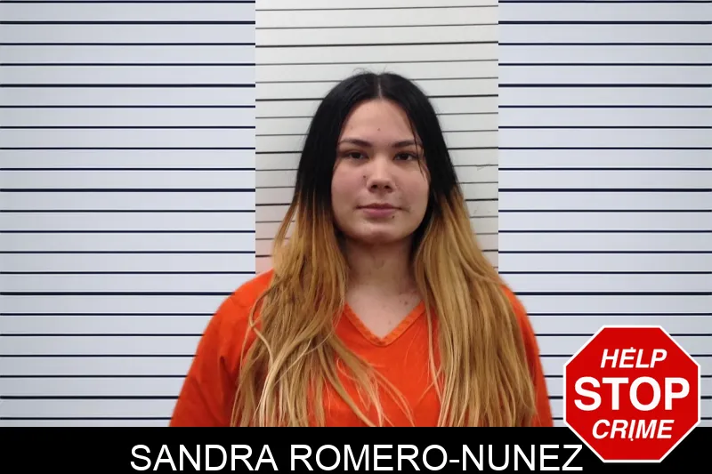 Sandra Romero-Nunez Mugshots