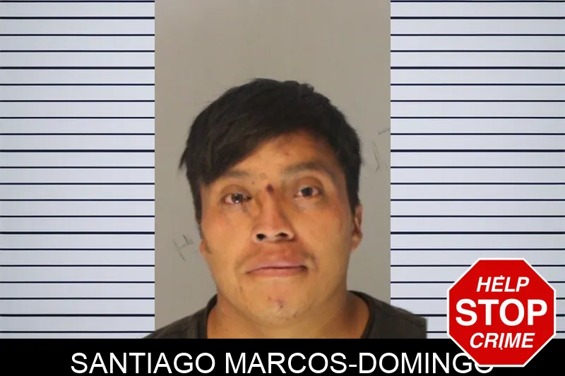 Santiago Marcos-Domingo Mugshots