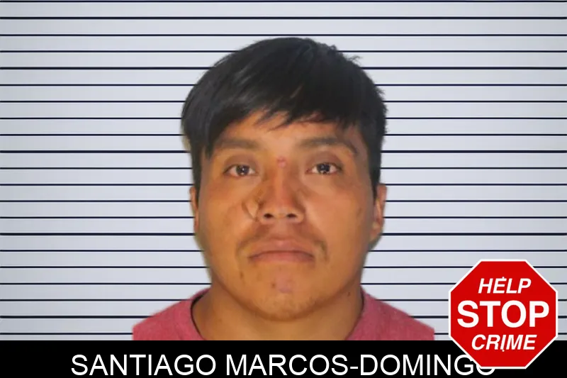 Santiago Marcos-Domingo Mugshots