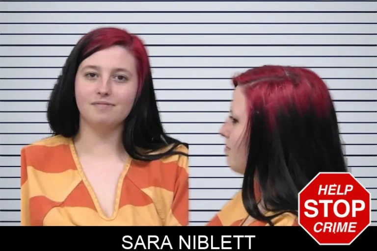 Sara Niblett mugshot – Paulding County , Georgia Sara Niblett
