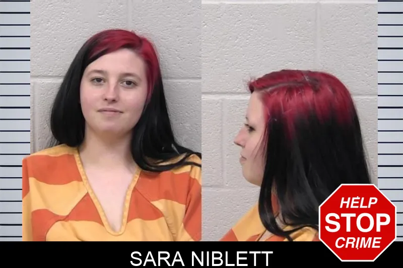 Sara Niblett mugshot