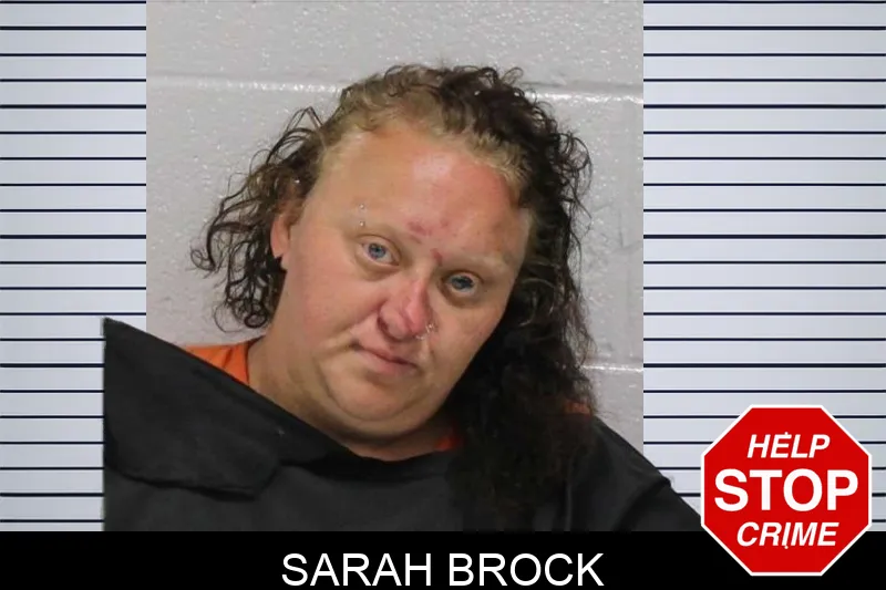 Sarah Brock mugshot – Carroll County , Georgia Sarah Brock mugshot