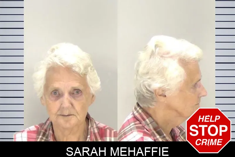 Sarah Mehaffie Mugshots