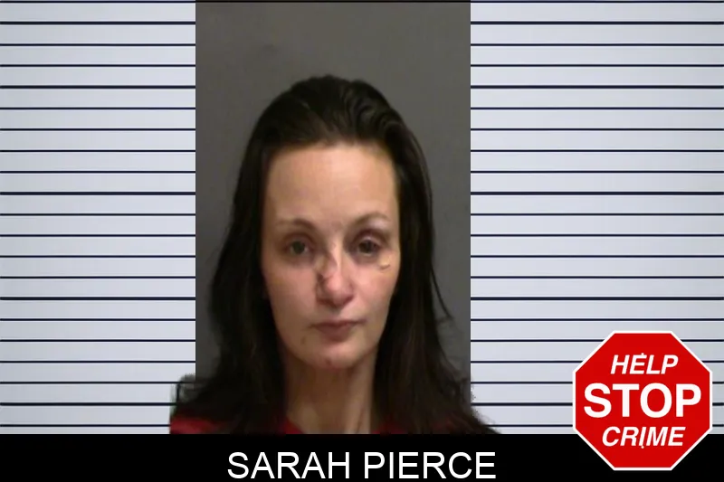 Sarah Pierce Mugshots