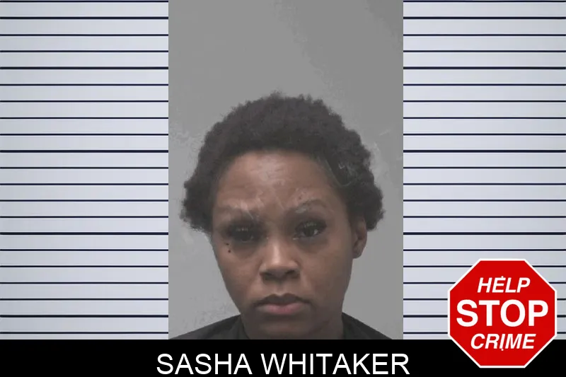 Sasha Whitaker mugshot