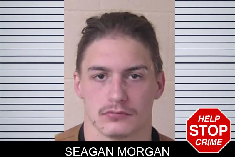 Seagan Morgan Mugshots