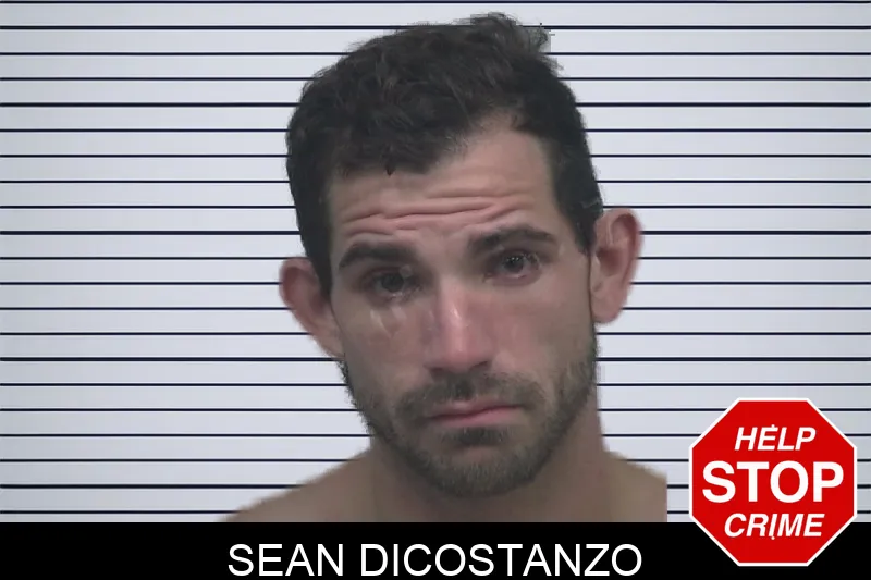 Sean Dicostanzo mugshot
