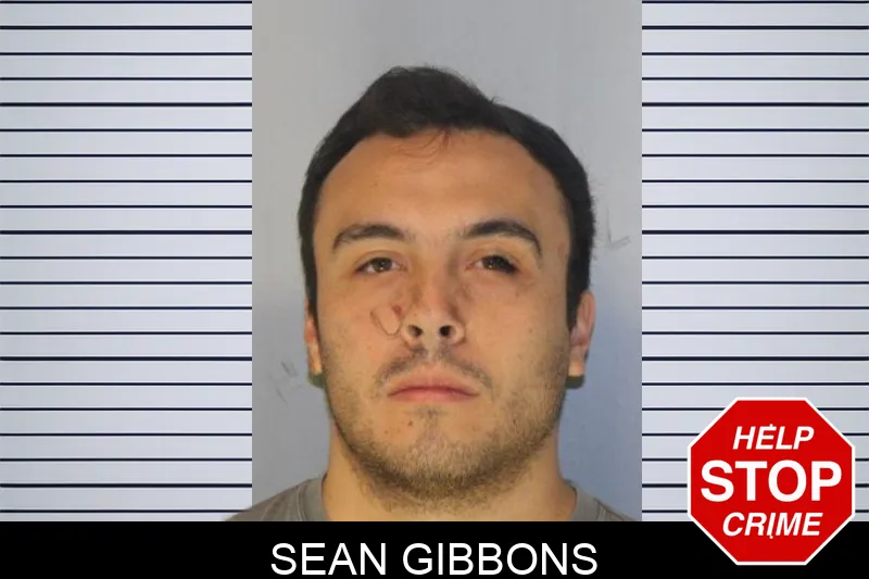 Sean Gibbons mugshot – Hall County , Georgia Sean Gibbons mugshot