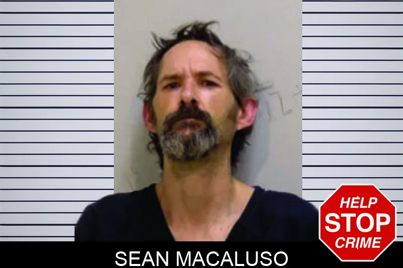 Sean Macaluso mugshot