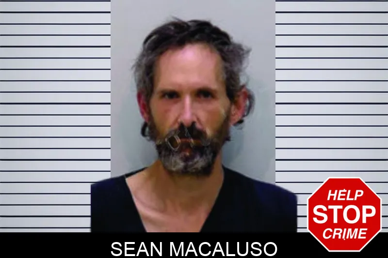 Sean Macaluso mugshot