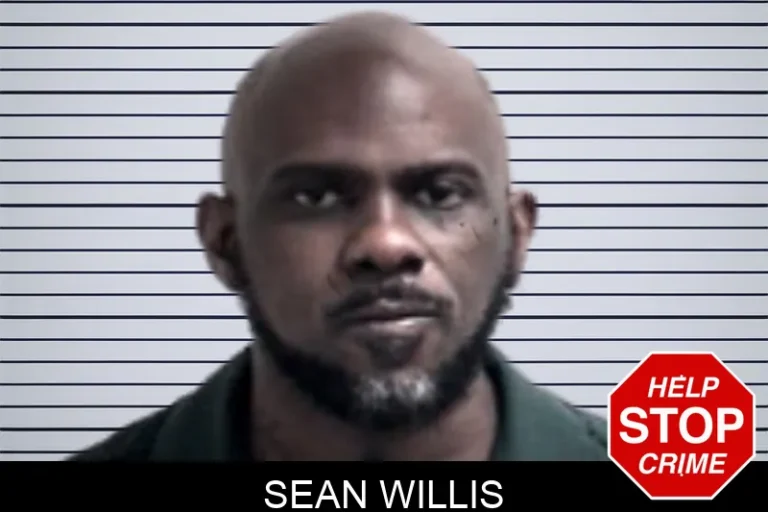 Sean Willis