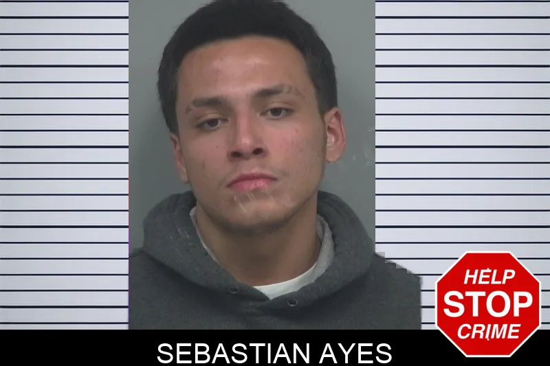 Sebastian Ayes Mugshots