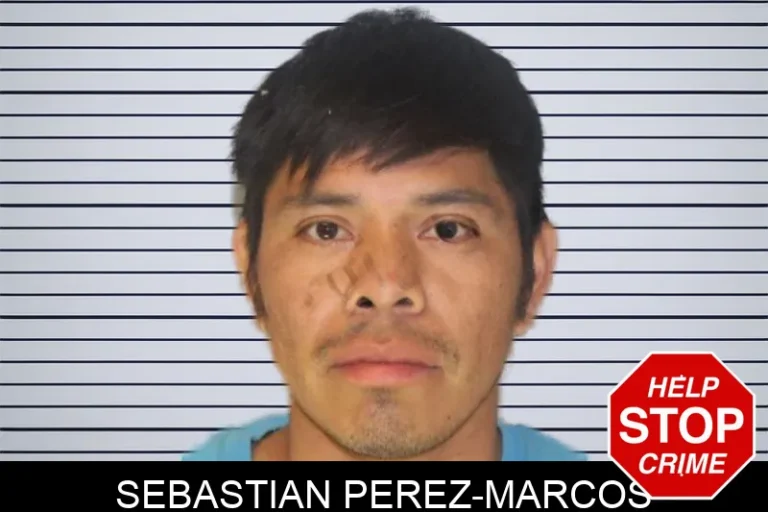 Sebastian Perez-Marcos