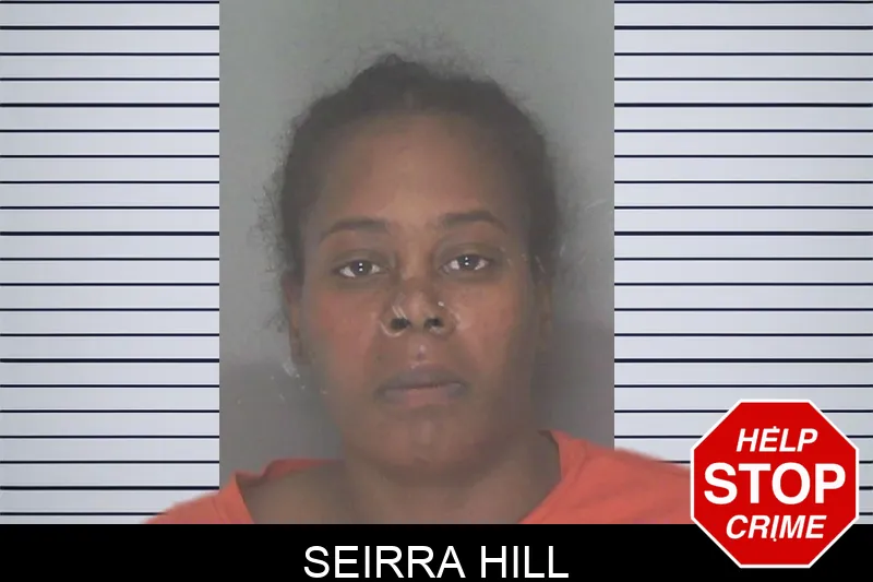 Seirra Hill mugshot