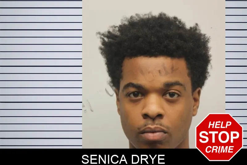 Senica Drye Mugshots