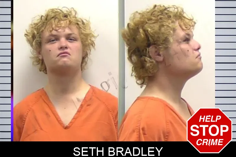 Seth Bradley Mugshots
