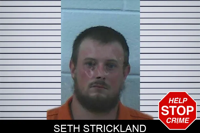 Seth Strickland Mugshots