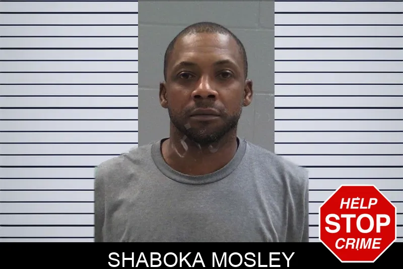 Shaboka Mosley Mugshots