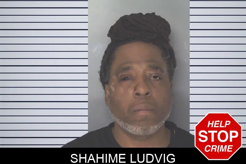 Shahime Ludvig Mugshots