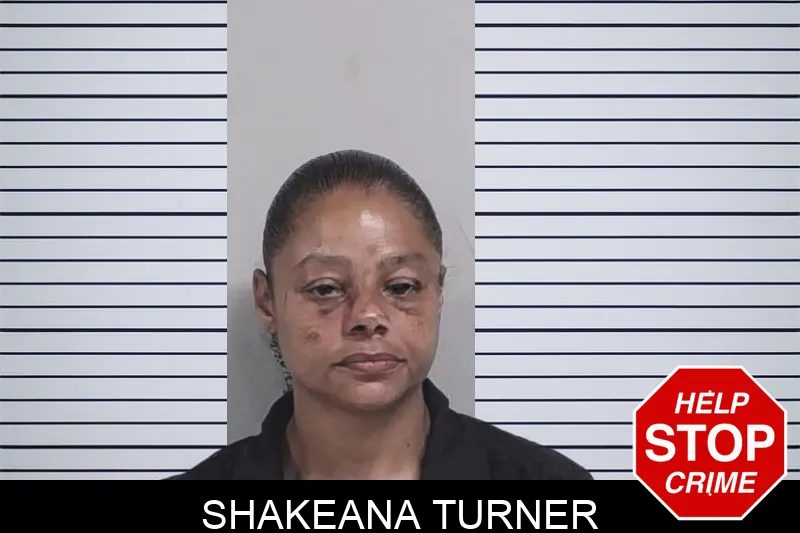 Shakeana Turner Mugshots