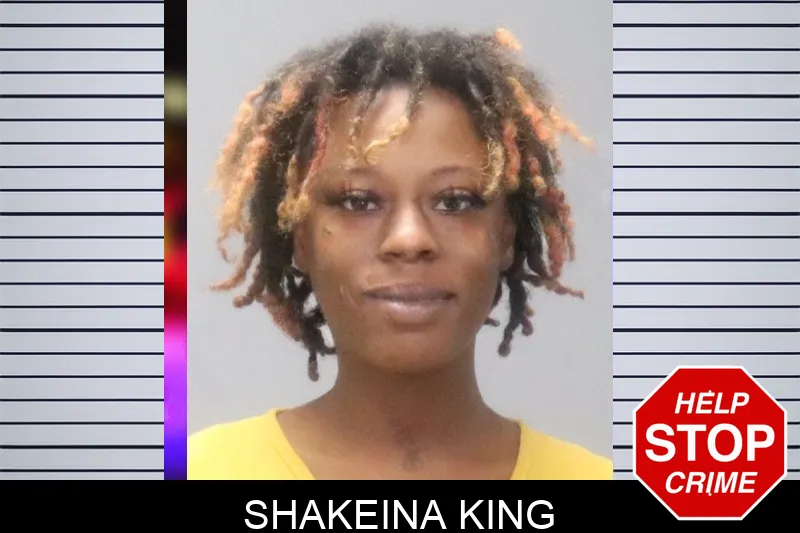 Shakeina King mugshot
