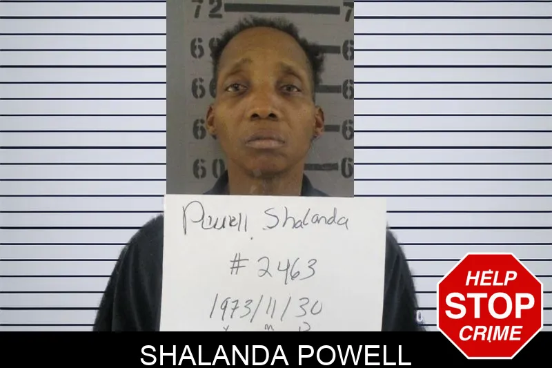 Shalanda Powell Mugshots