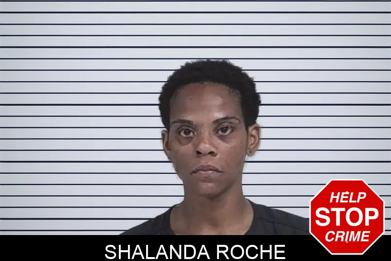 Shalanda Roche mugshot